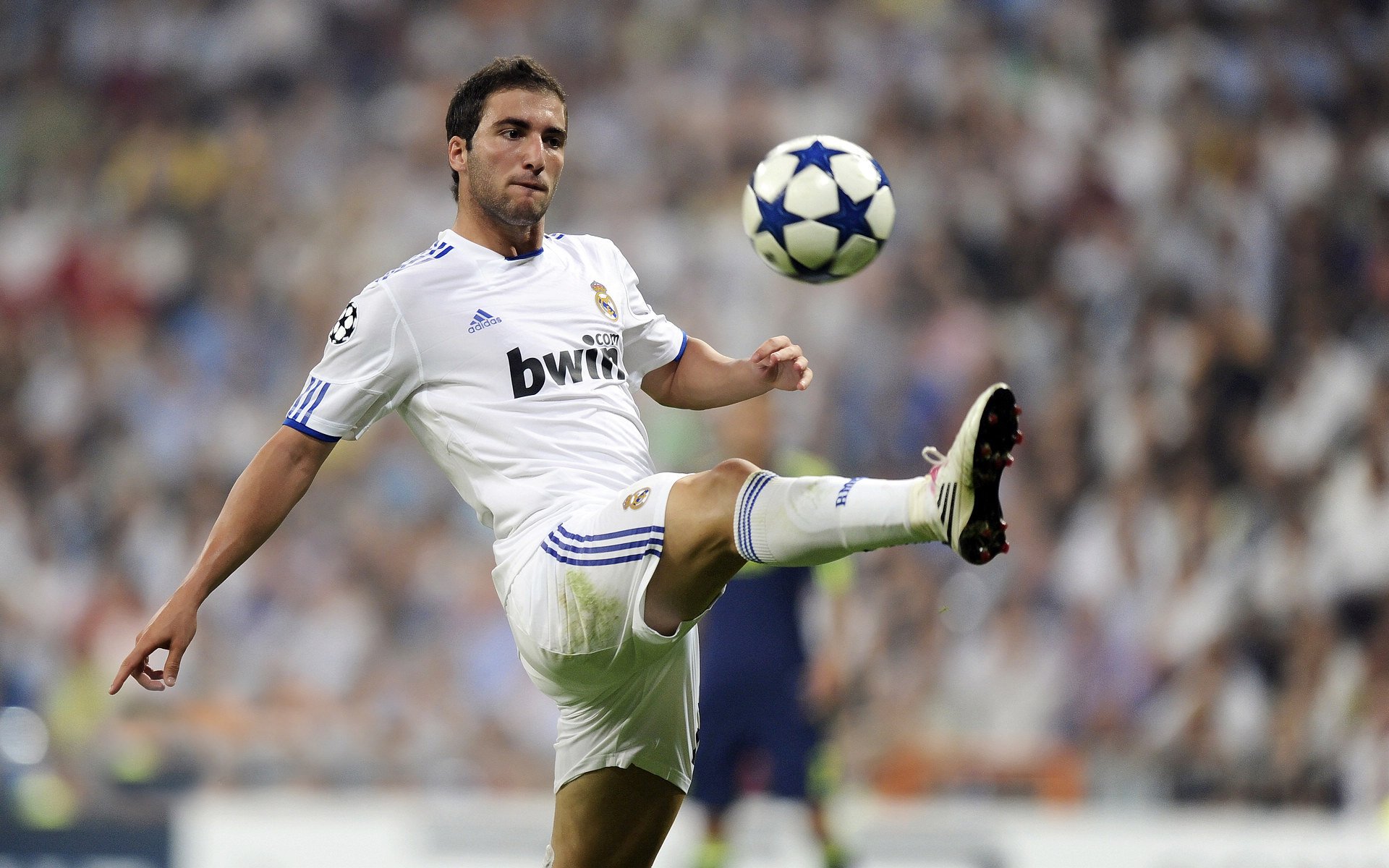 中国花样游泳队巴黎奥运备战进入冲刺阶段，新编排惊艳亮相