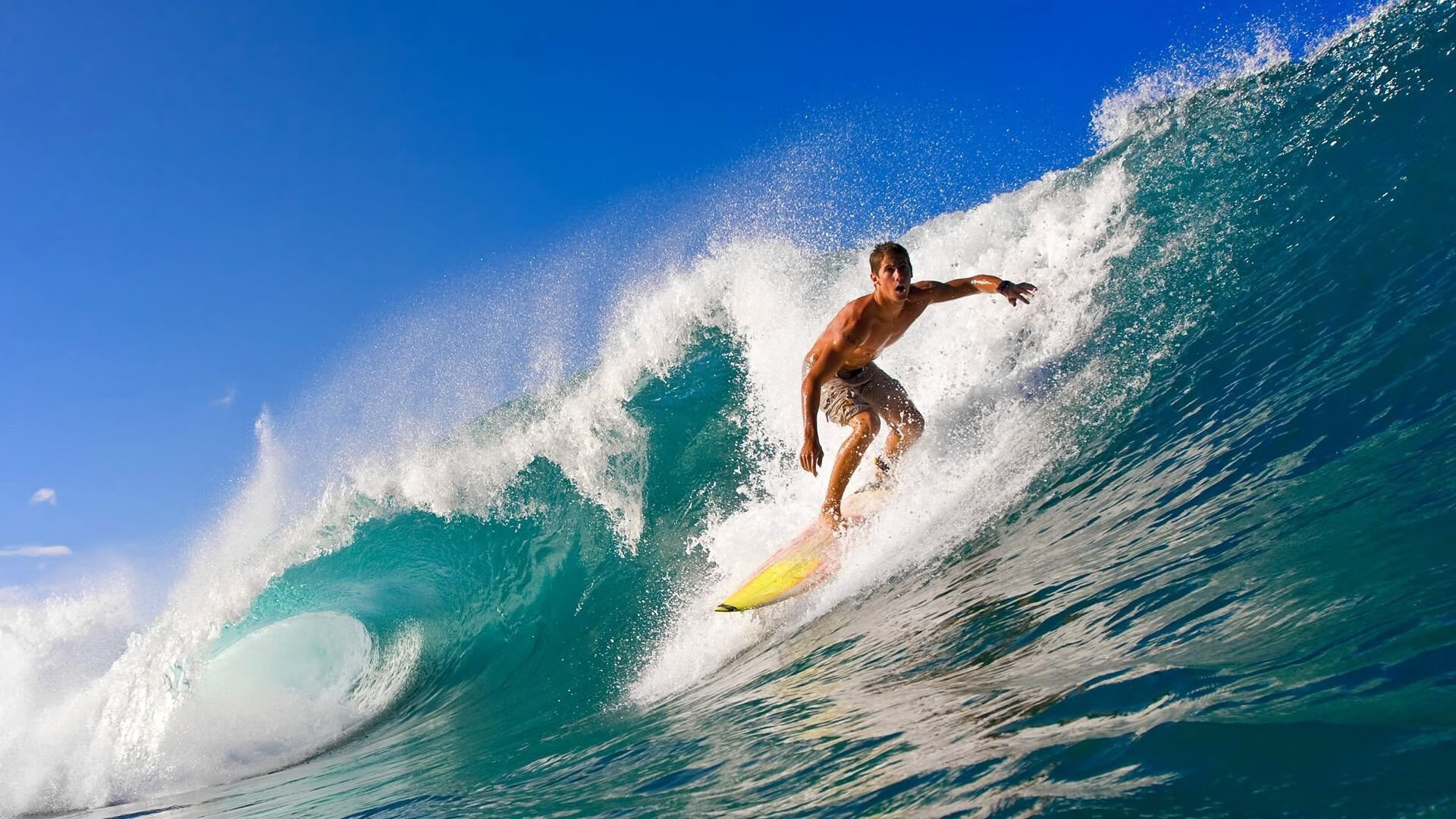 自由泳巅峰对决，世界纪录保持者马克·霍顿再创佳绩，巴黎奥运备战进入白热化