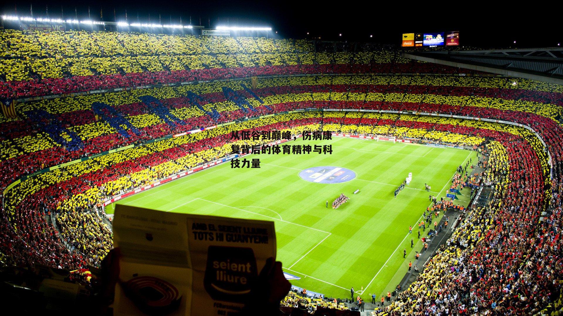 从低谷到巅峰，伤病康复背后的体育精神与科技力量