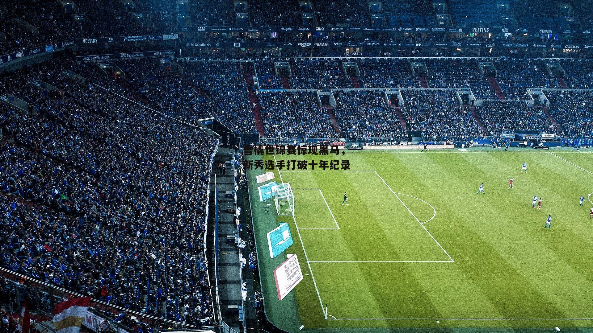 雪橇世锦赛惊现黑马，新秀选手打破十年纪录