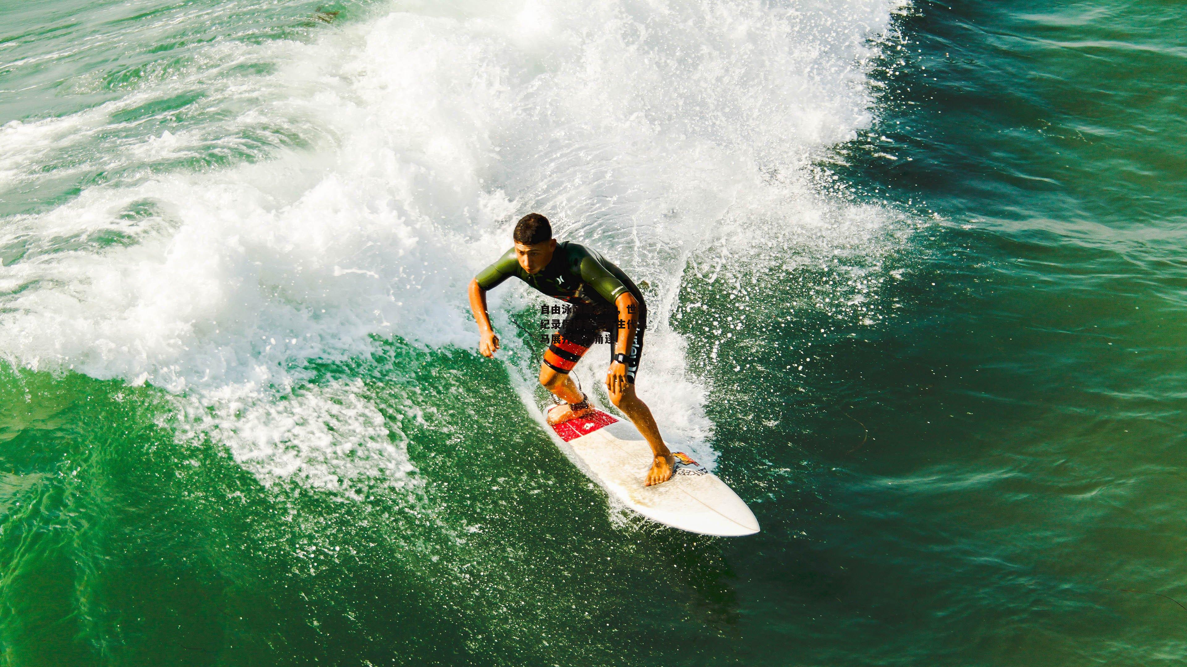 自由泳巅峰对决,世界纪录保持者与新生代黑马展开激烈角逐