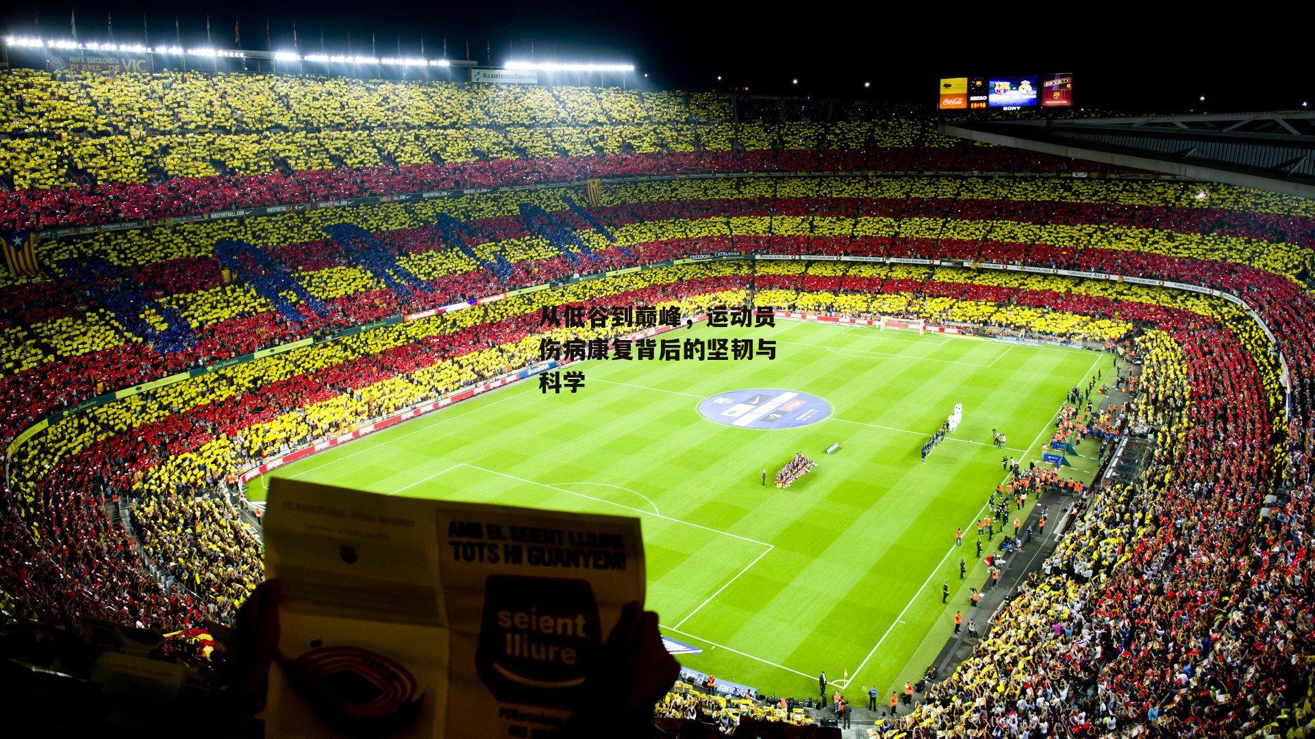 从低谷到巅峰，运动员伤病康复背后的坚韧与科学