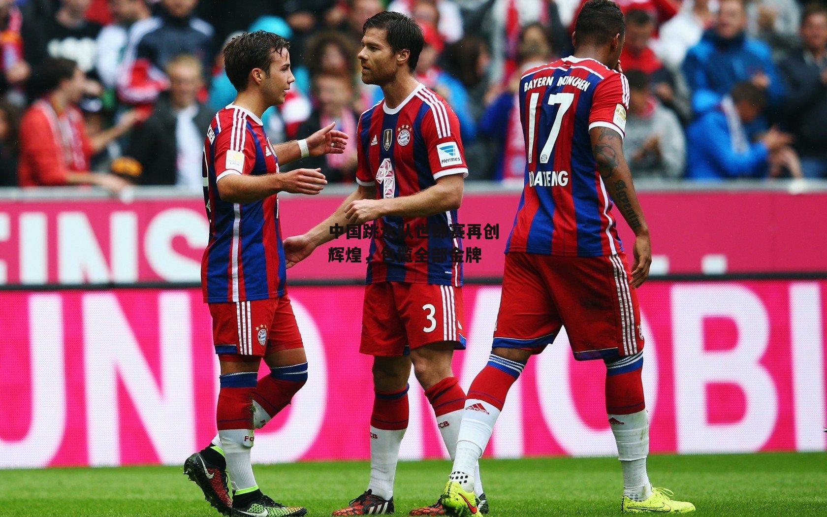 中国跳水队世锦赛再创辉煌，包揽全部金牌